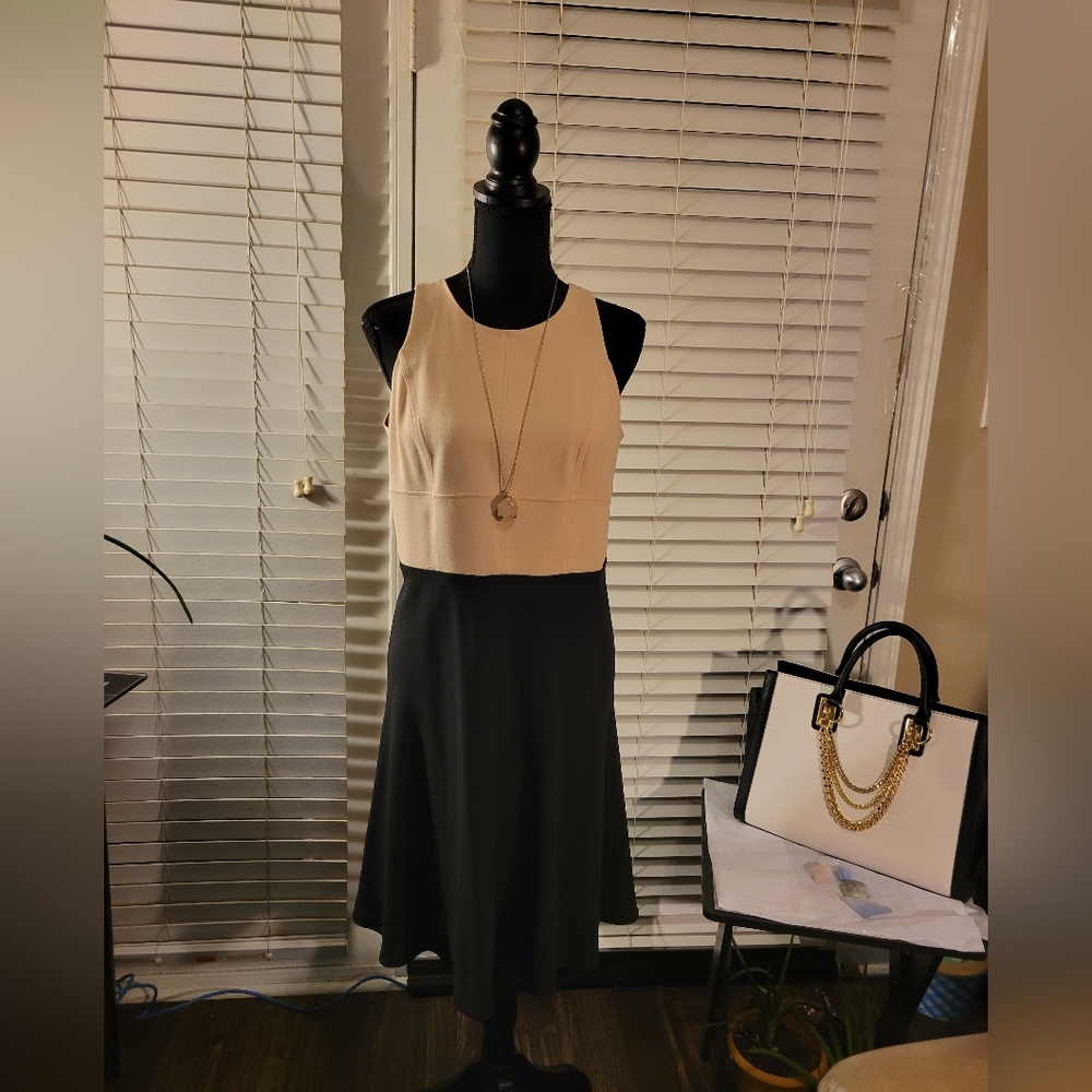 Ann Taylor Cream and Black Sleeveless Dress Size 6